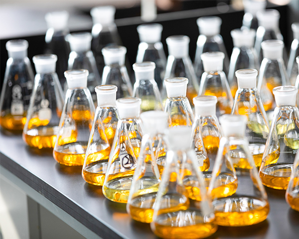 ��ҵ��α��ƻ������ƻ�����ƪ���°����ܴ�