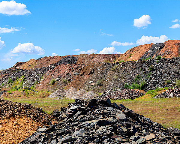 ������ⱨ������������Ϊִ�����ݣ���Ҫ����ʲô������